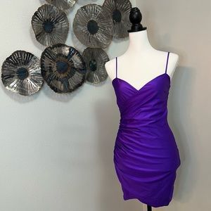 Fashion Nova purple mini dress.